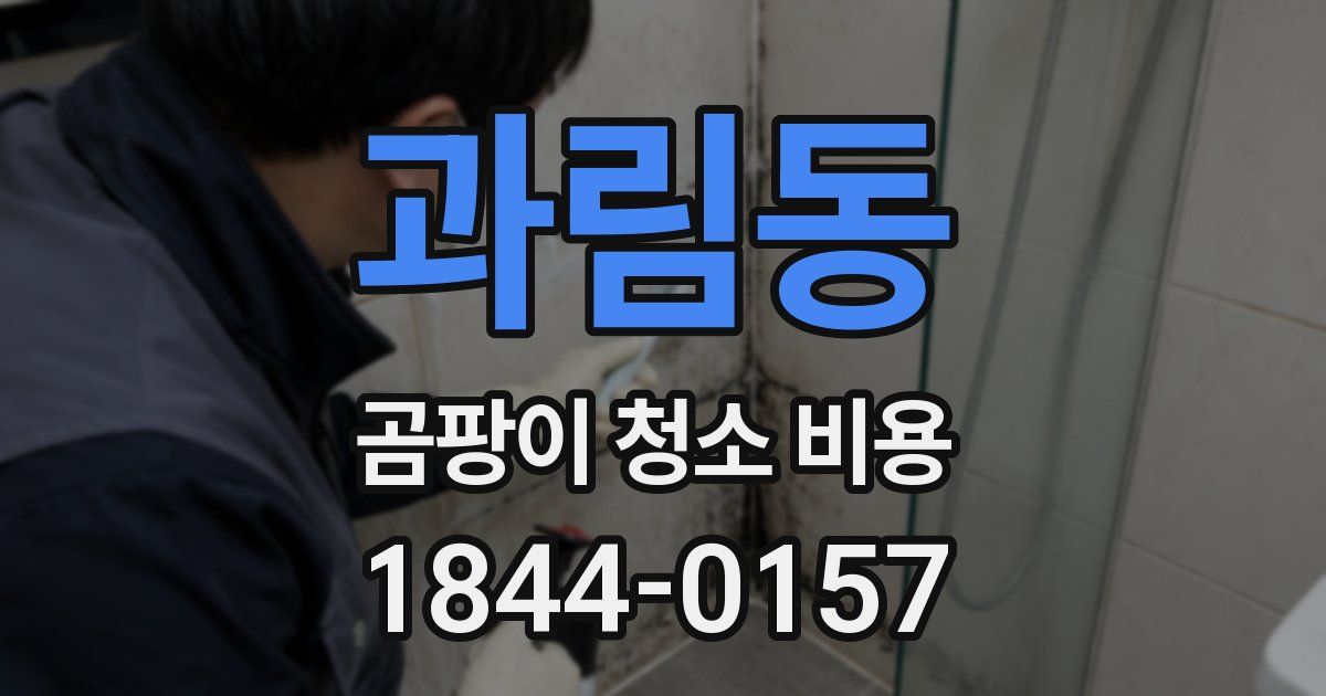 과림동 곰팡이 청소 비용