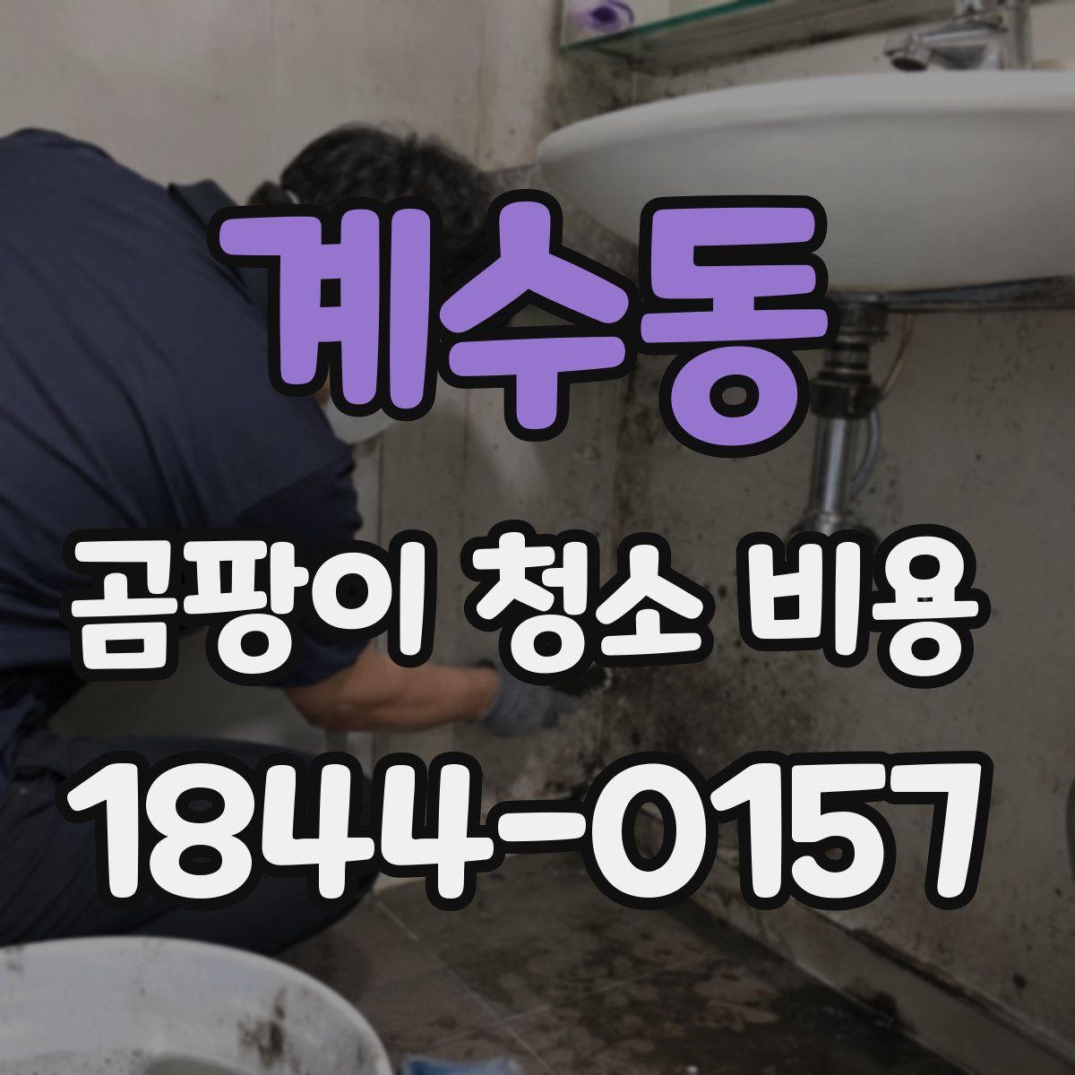 계수동 곰팡이 청소 비용
