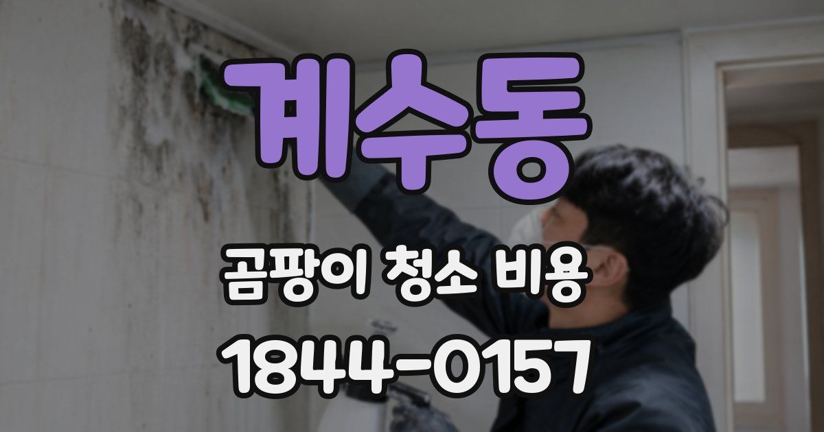 계수동 곰팡이 청소 비용