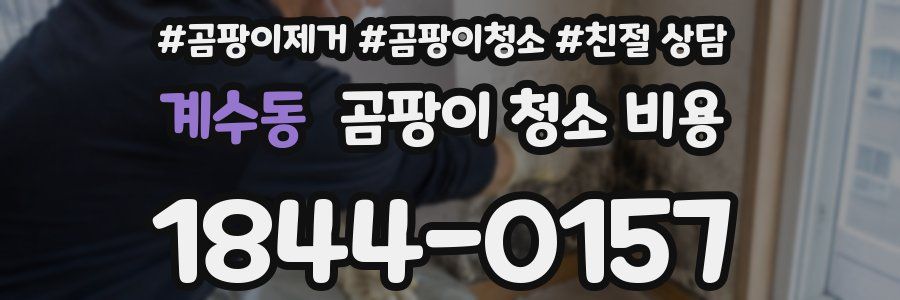 계수동 곰팡이 청소 비용