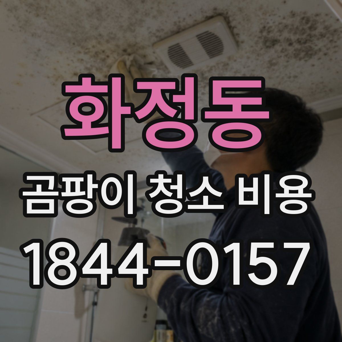 화정동 곰팡이 청소 비용
