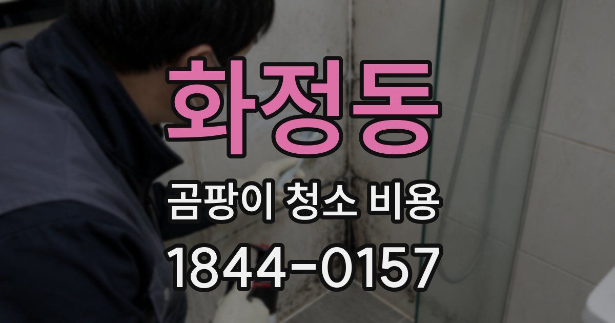 화정동 곰팡이 청소 비용