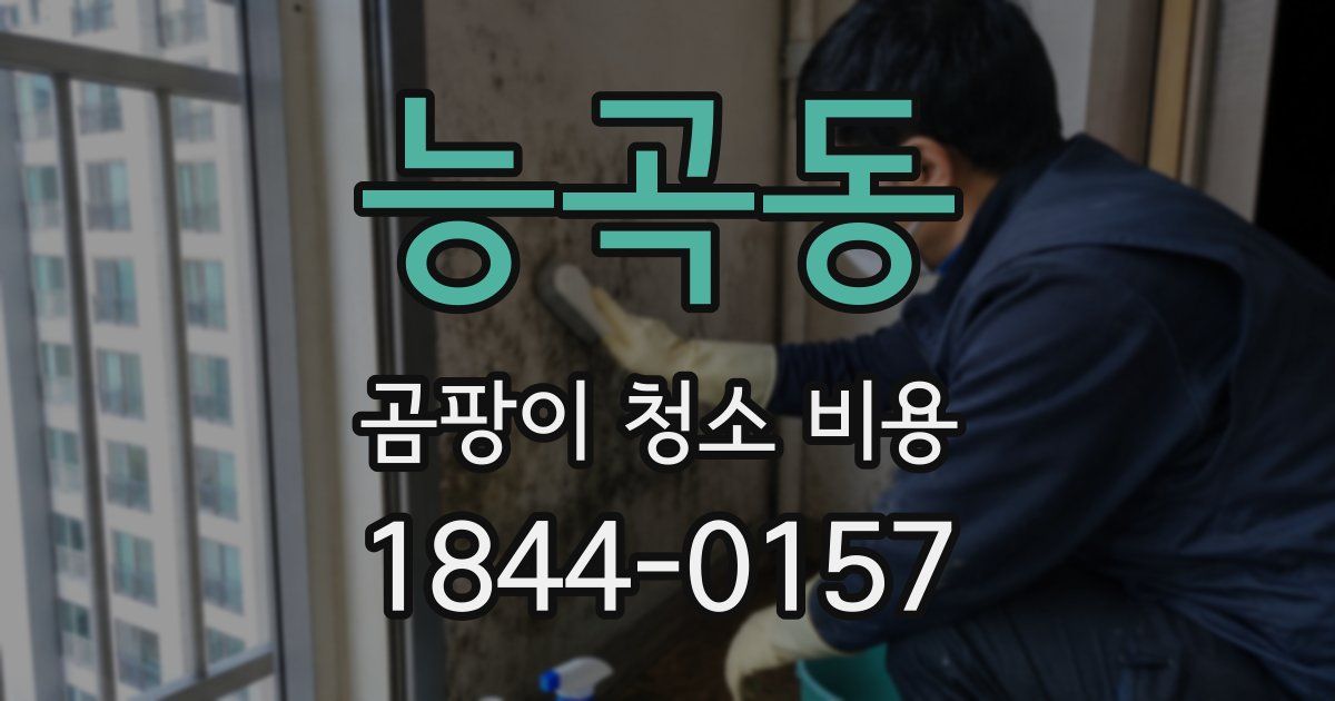 능곡동 곰팡이 청소 비용