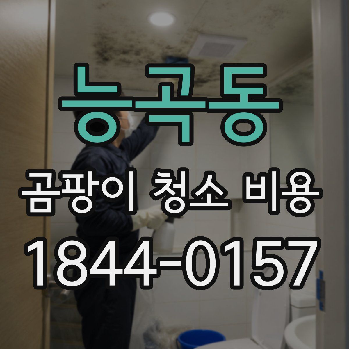 능곡동 곰팡이 청소 비용