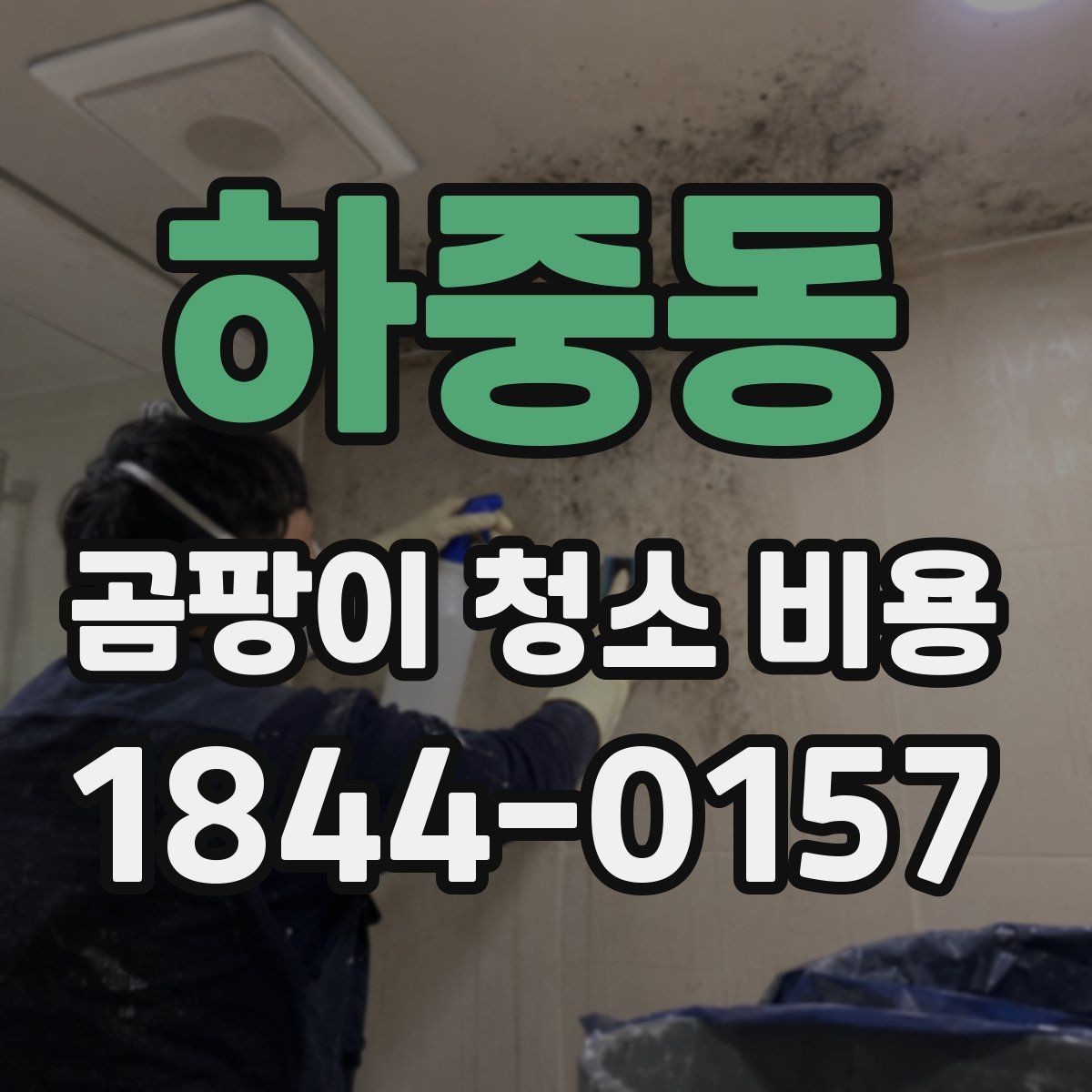 하중동 곰팡이 청소 비용 견적을 받을 때 살펴볼 항목