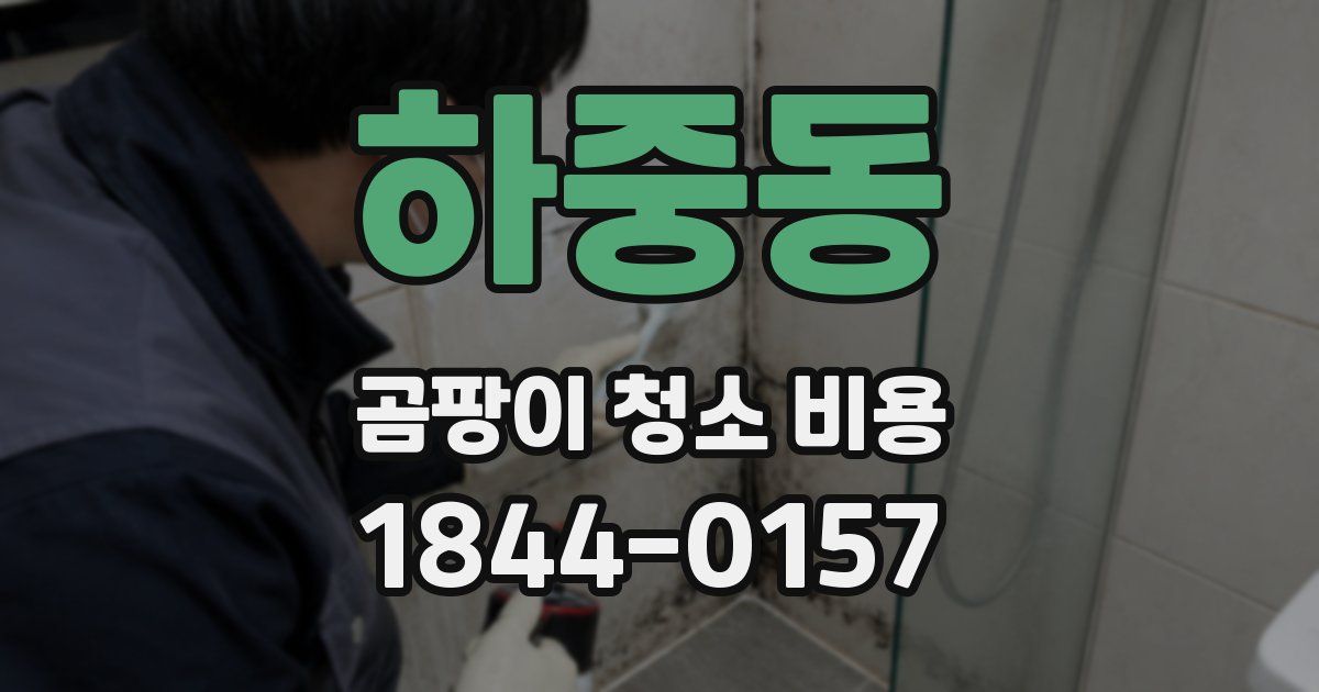 하중동 곰팡이 청소 비용
