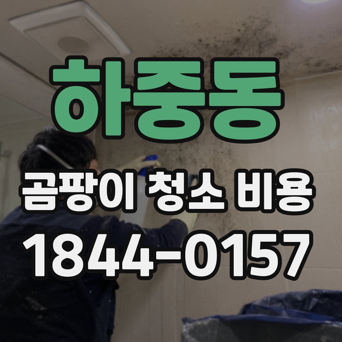 하중동 곰팡이 청소 비용