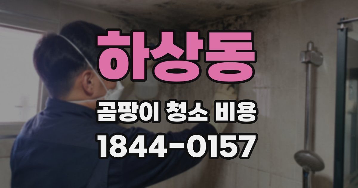 하상동 곰팡이 청소 비용