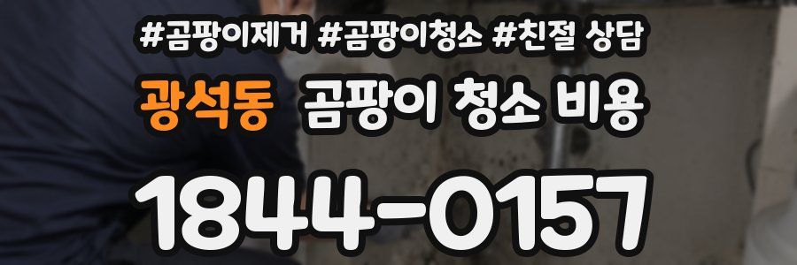 광석동 곰팡이 청소 비용