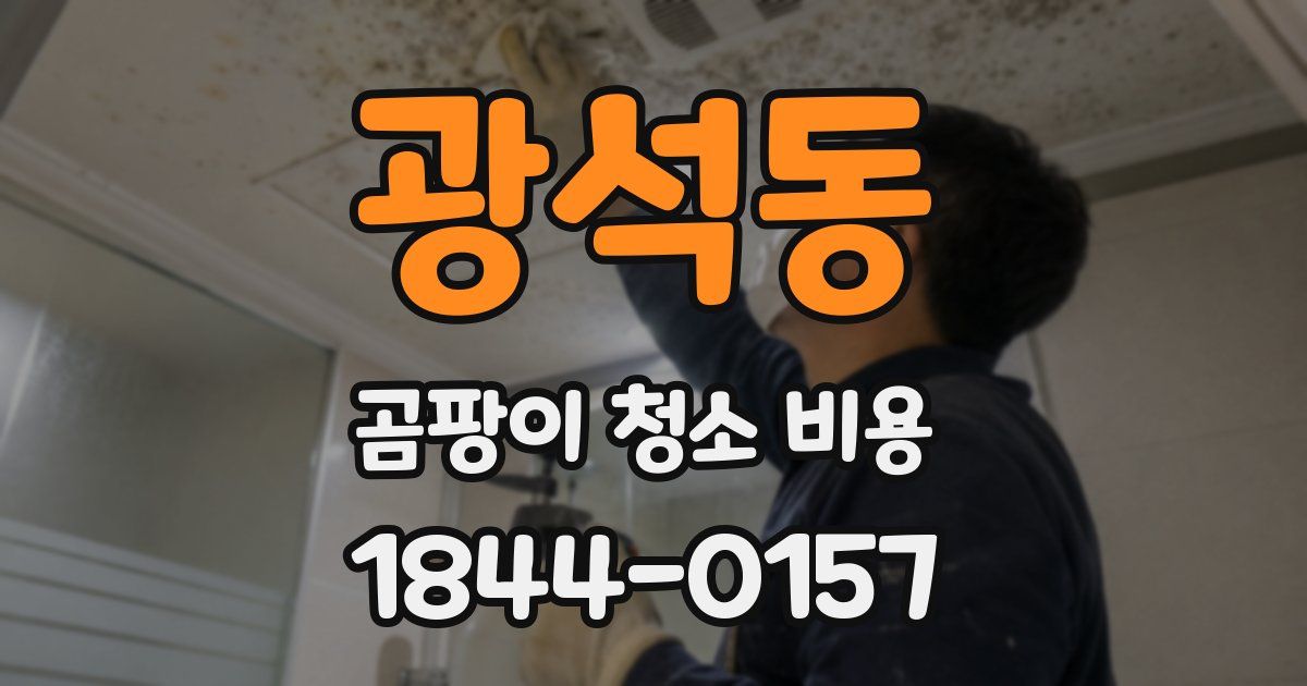 광석동 곰팡이 청소 비용