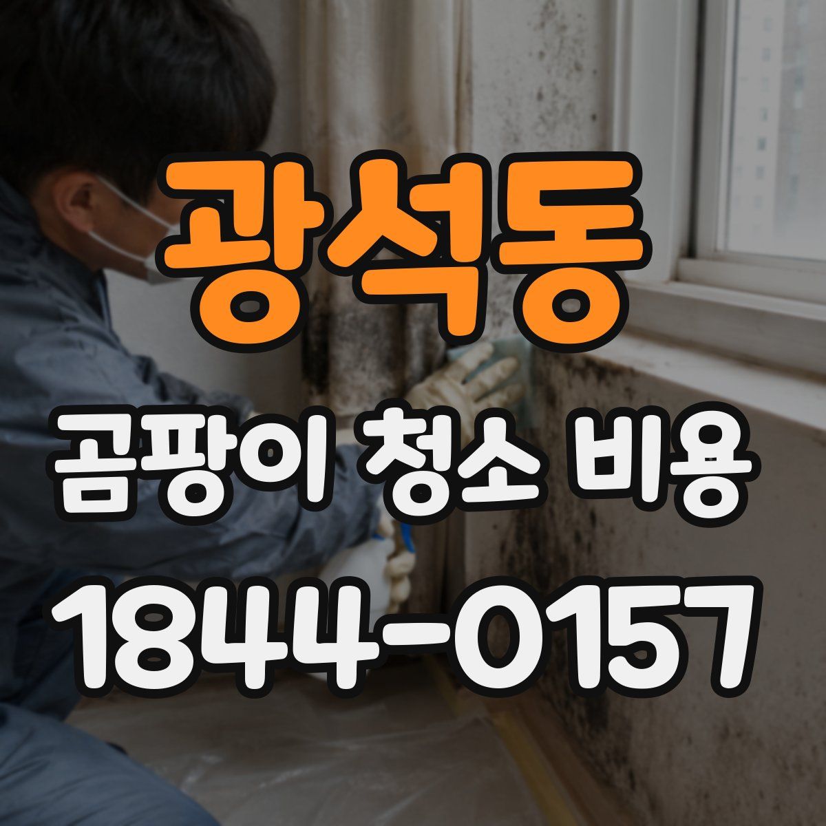 광석동 곰팡이 청소 비용