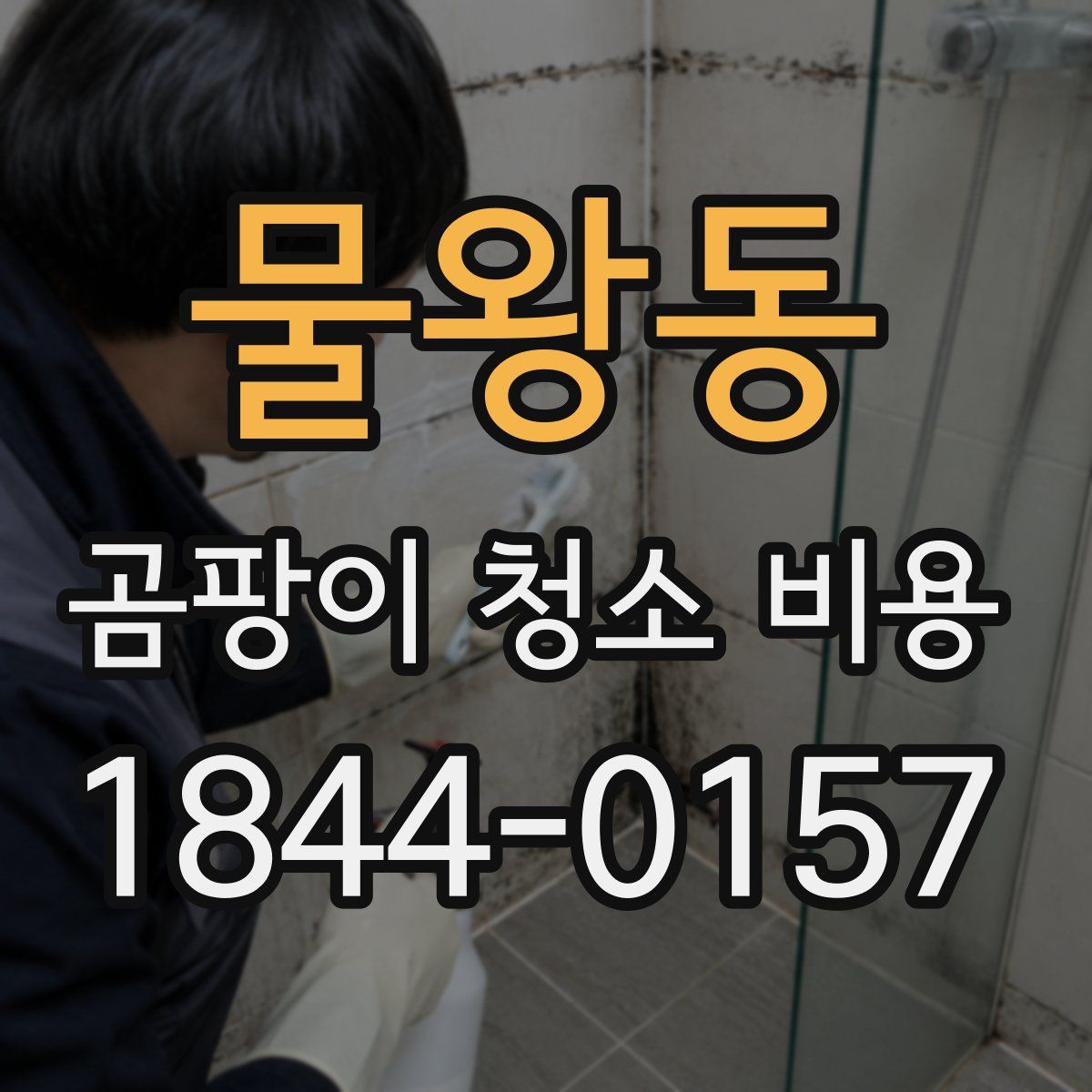 물왕동 곰팡이 청소 비용