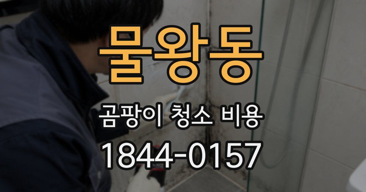물왕동 곰팡이 청소 비용