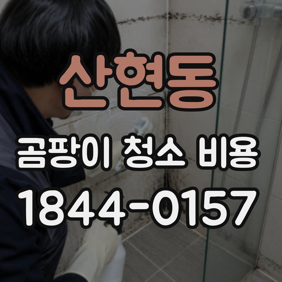 산현동 곰팡이 청소 비용