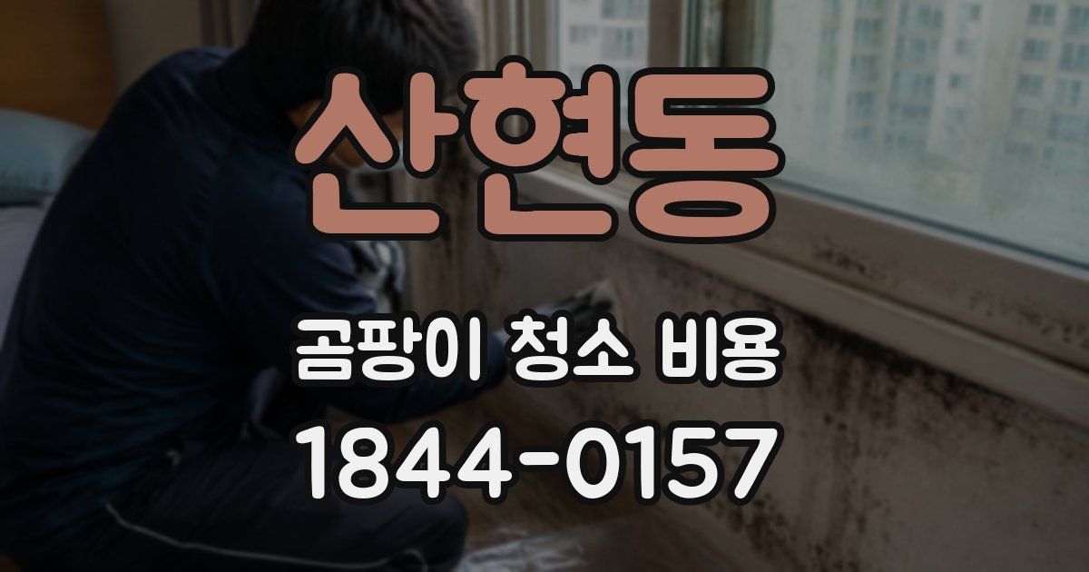 산현동 곰팡이 청소 비용