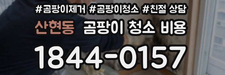 산현동 곰팡이 청소 비용