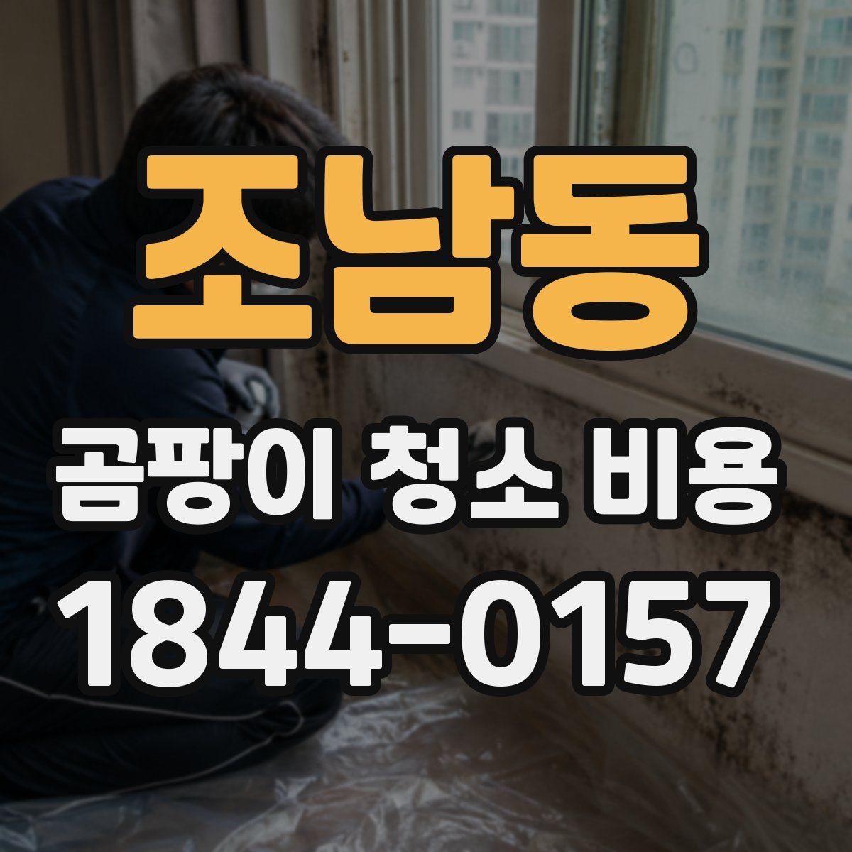 조남동 곰팡이 청소 비용
