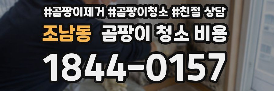 조남동 곰팡이 청소 비용
