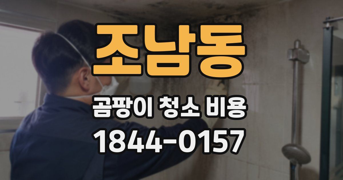 조남동 곰팡이 청소 비용