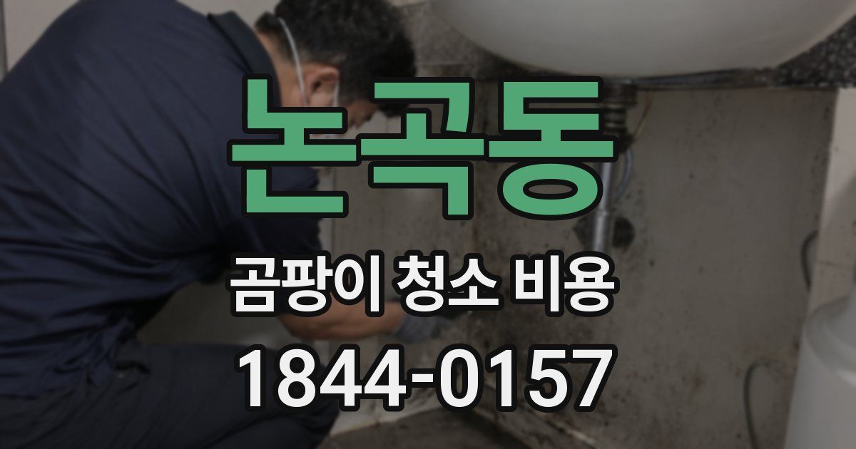 논곡동 곰팡이 청소 비용