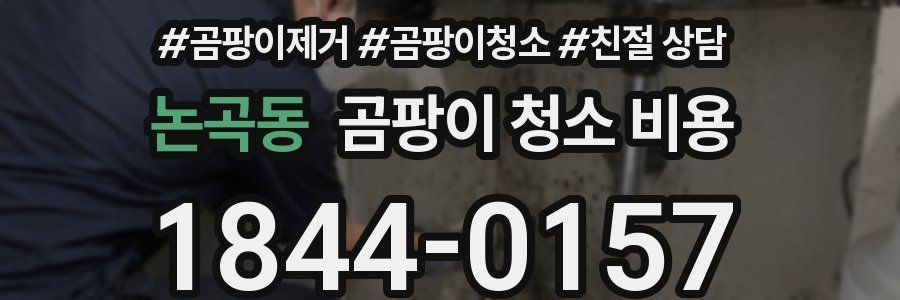 논곡동 곰팡이 청소 비용