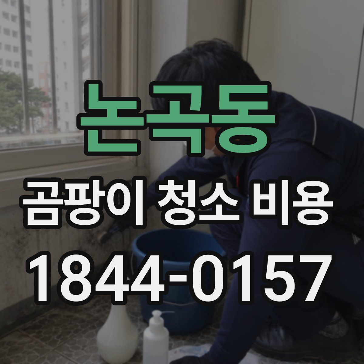 논곡동 곰팡이 청소 비용
