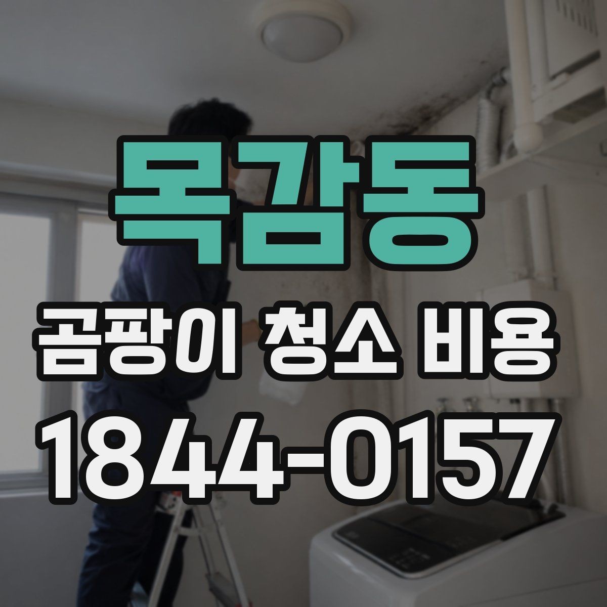 목감동 곰팡이 청소 비용 비교 후 선택할 때 참고할 점