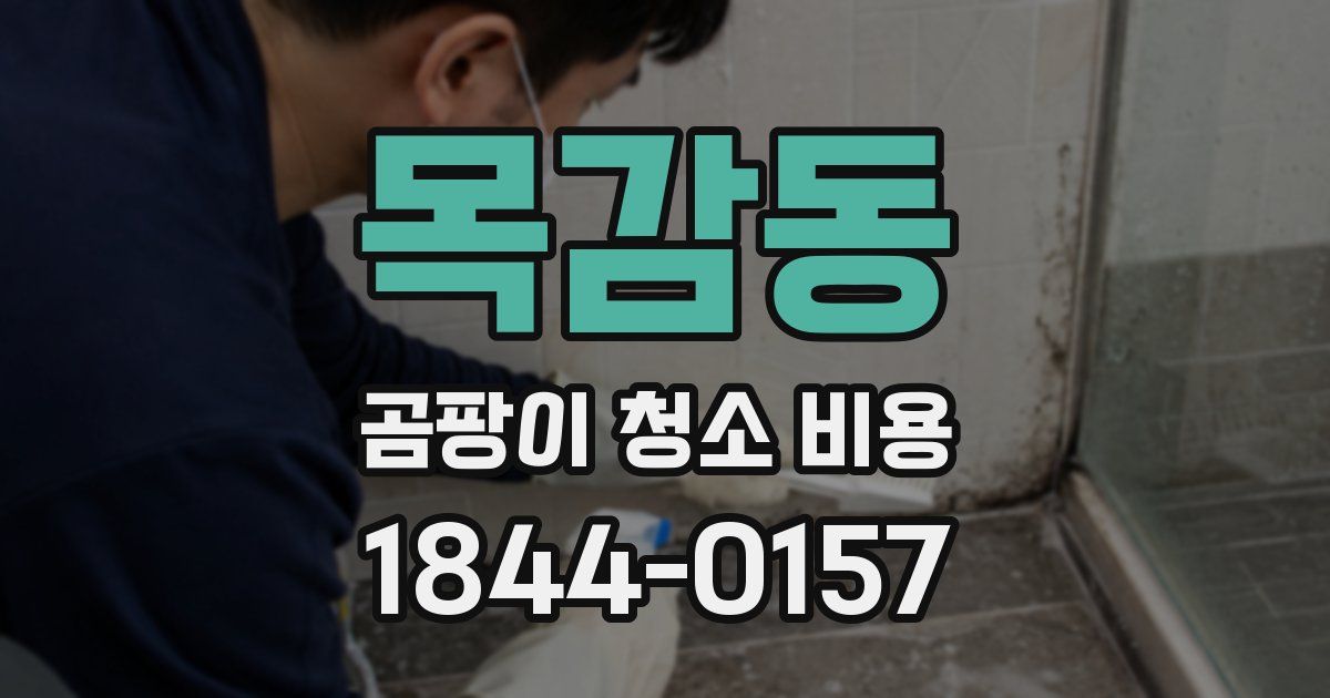 목감동 곰팡이 청소 비용