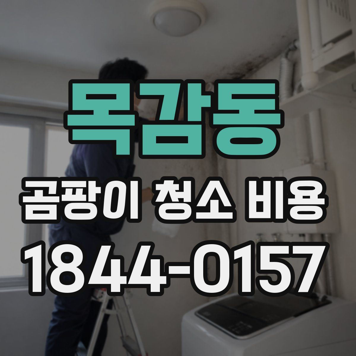 목감동 곰팡이 청소 비용