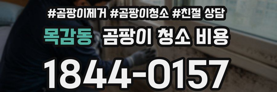 목감동 곰팡이 청소 비용