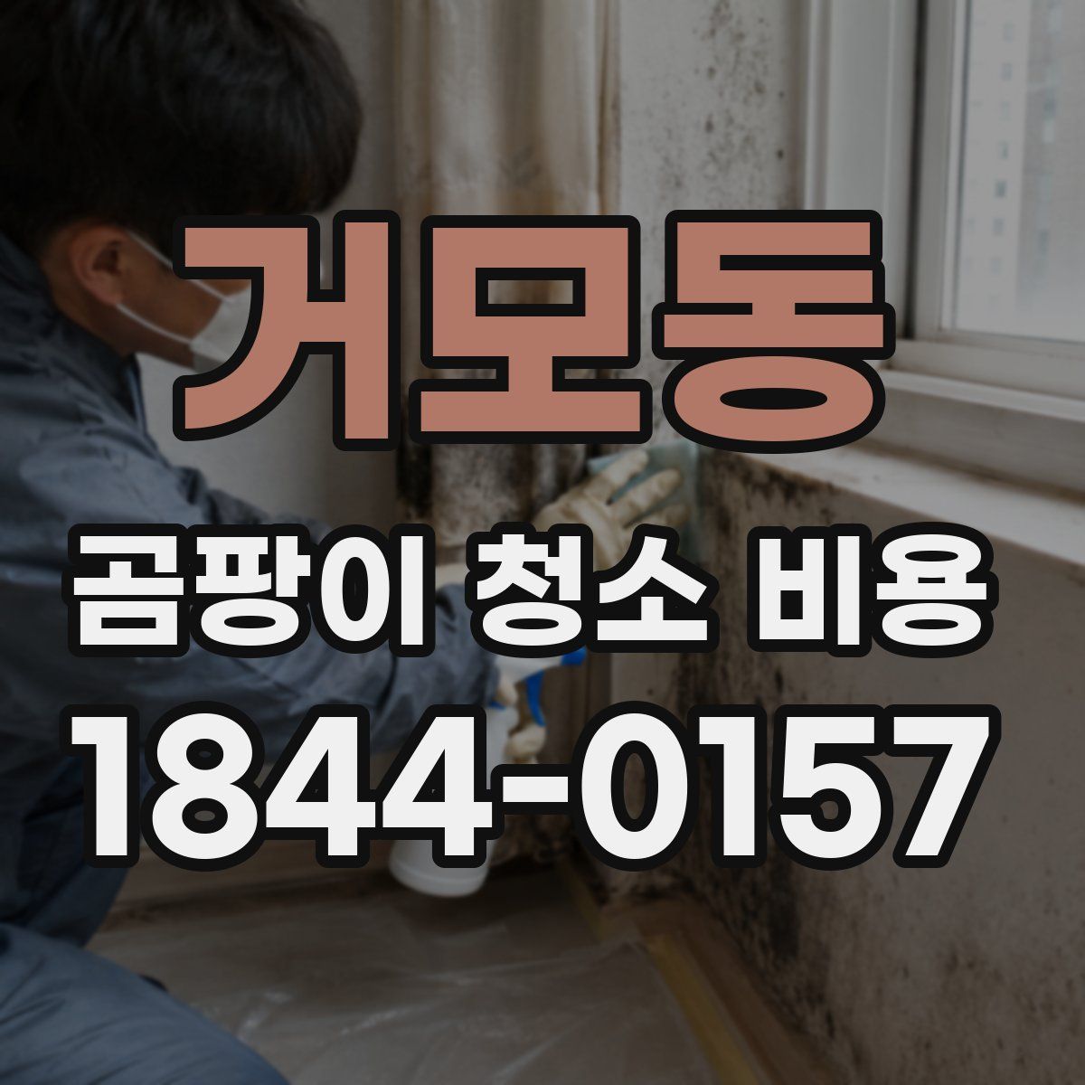 거모동 곰팡이 청소 비용