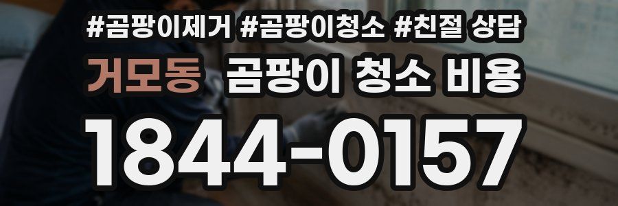 거모동 곰팡이 청소 비용