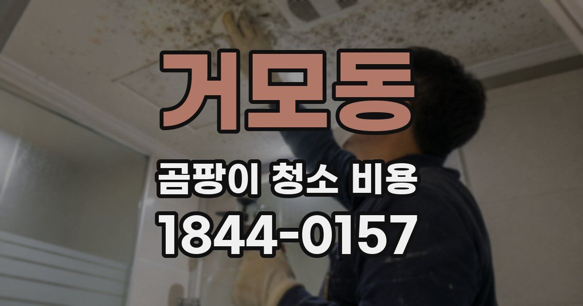 거모동 곰팡이 청소 비용