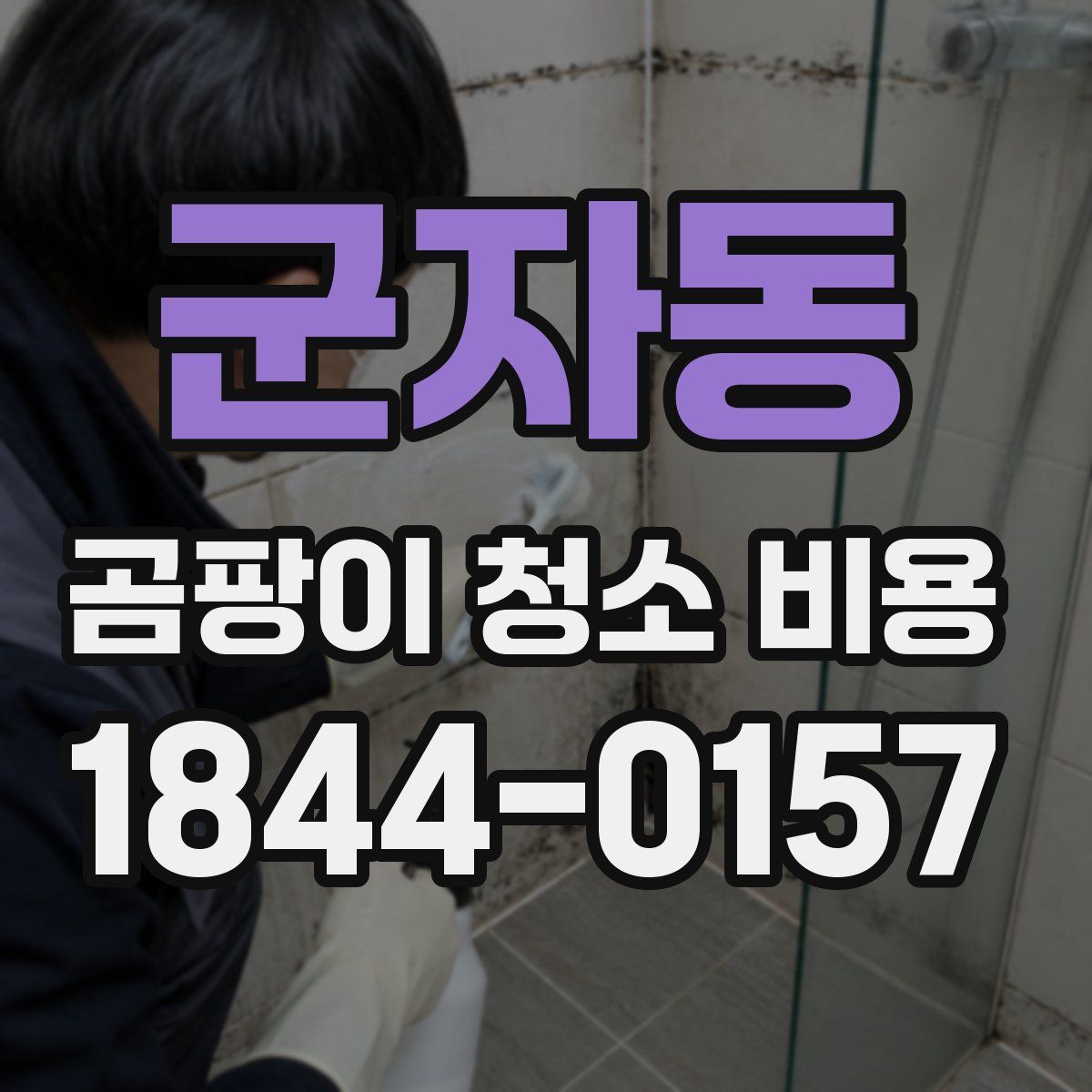 군자동 곰팡이 청소 비용