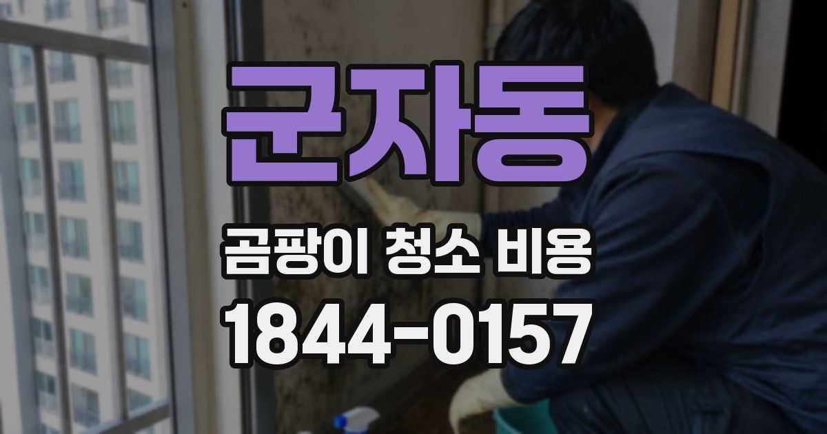 군자동 곰팡이 청소 비용