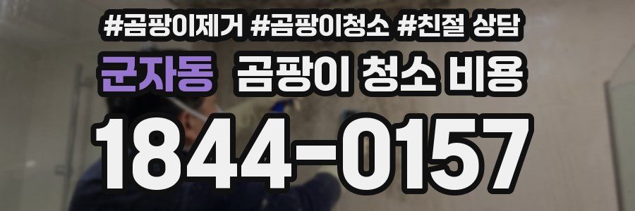 군자동 곰팡이 청소 비용