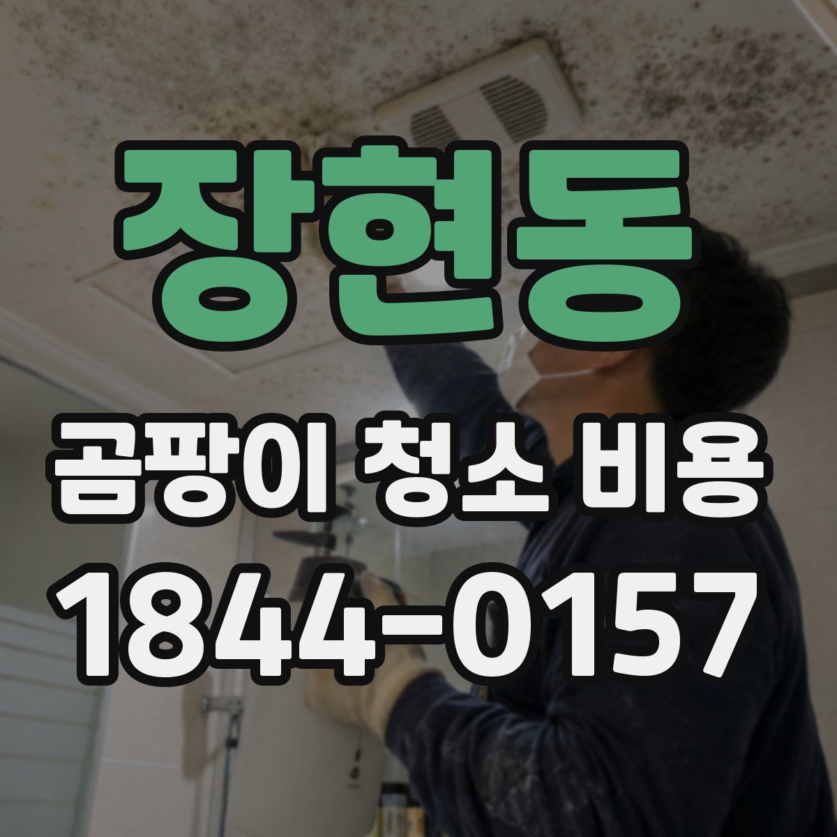 장현동 곰팡이 청소 비용