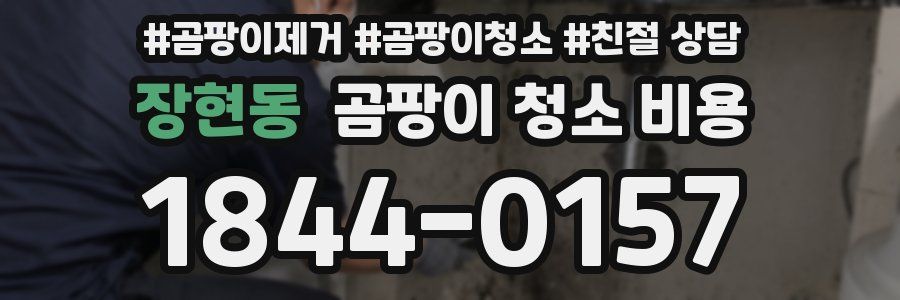 장현동 곰팡이 청소 비용