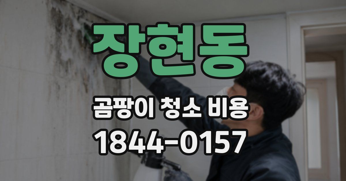 장현동 곰팡이 청소 비용