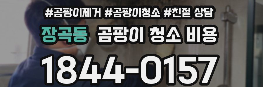 장곡동 곰팡이 청소 비용