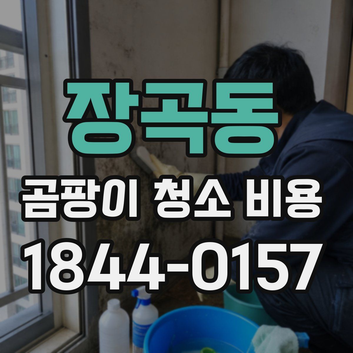 장곡동 곰팡이 청소 비용