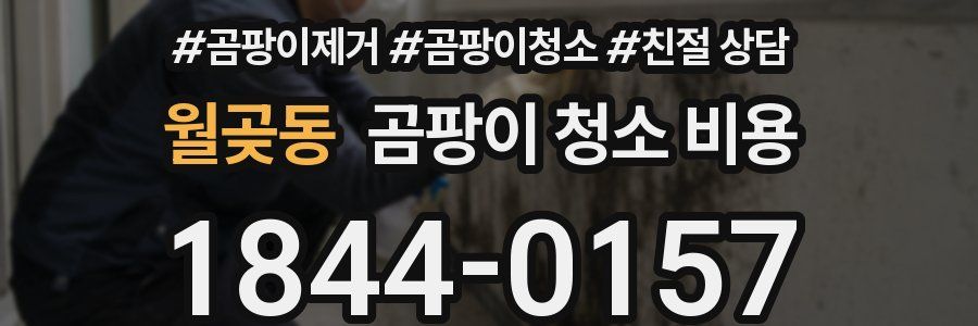 월곶동 곰팡이 청소 비용