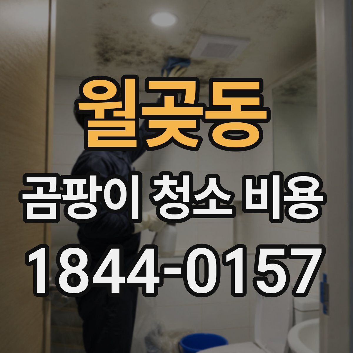 월곶동 곰팡이 청소 비용