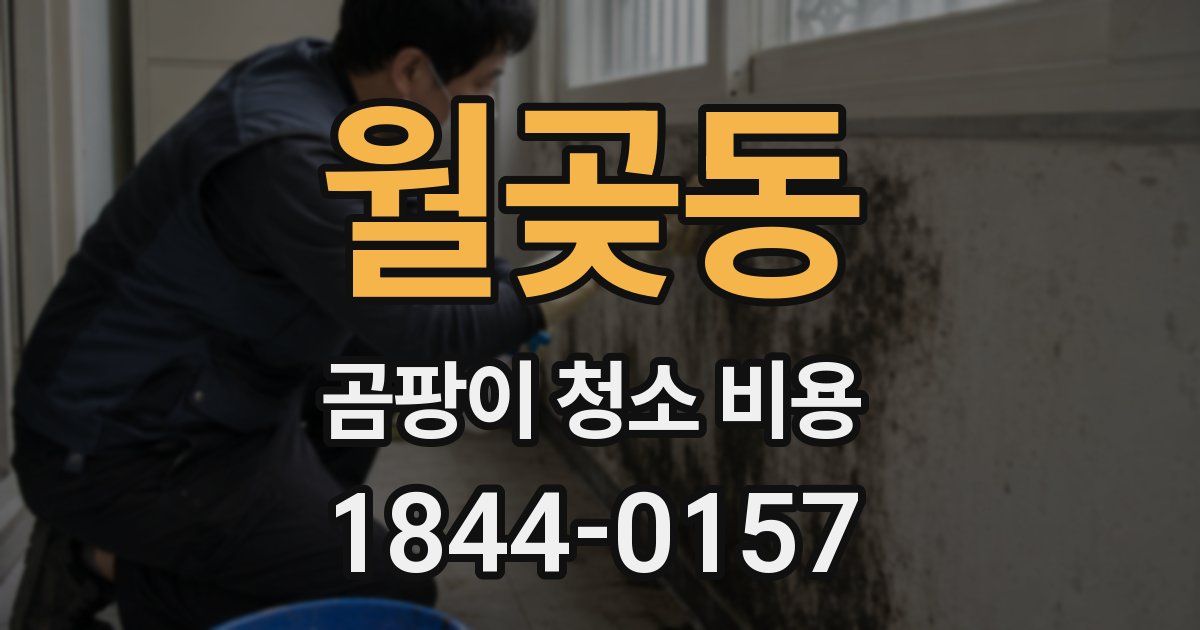 월곶동 곰팡이 청소 비용