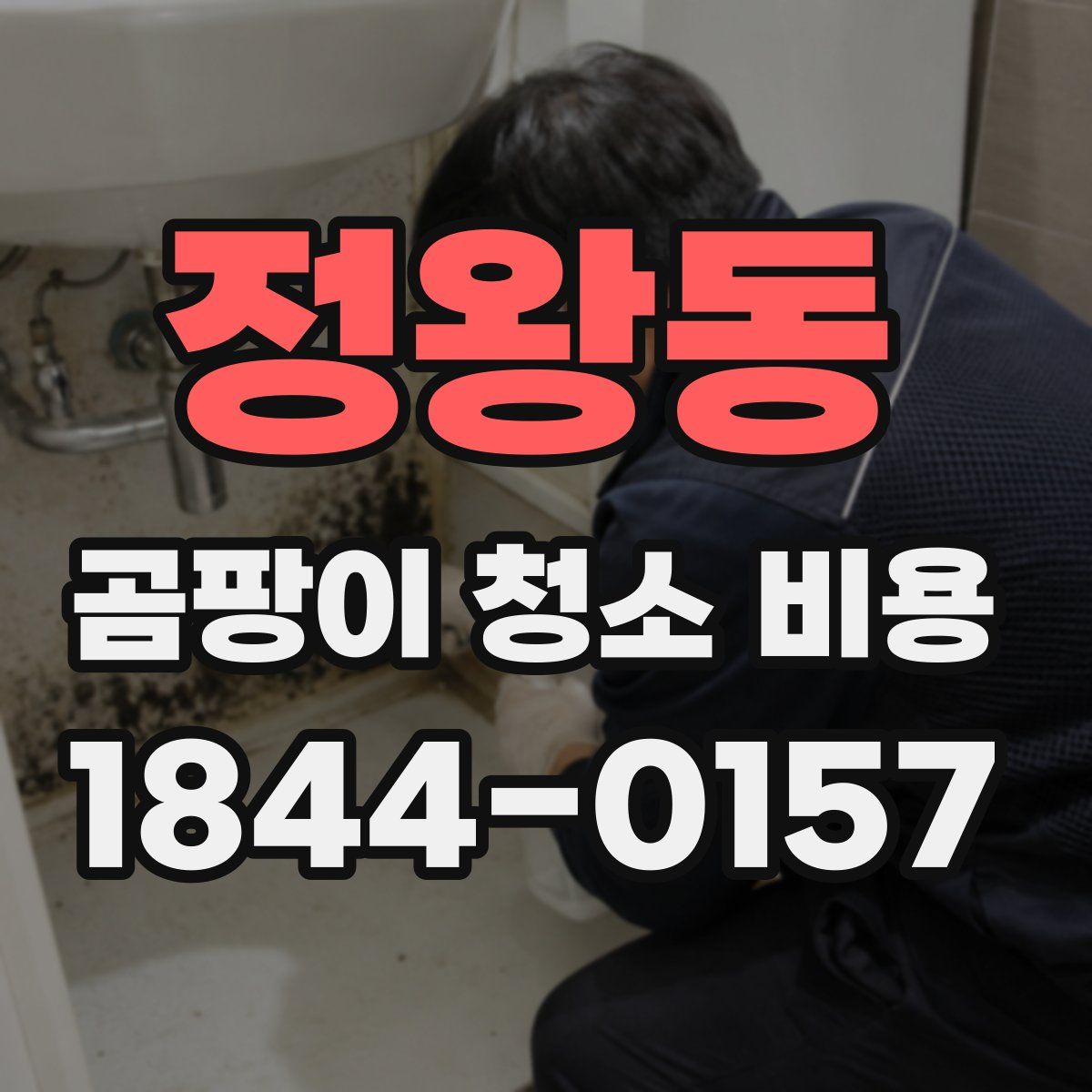 정왕동 곰팡이 청소 비용