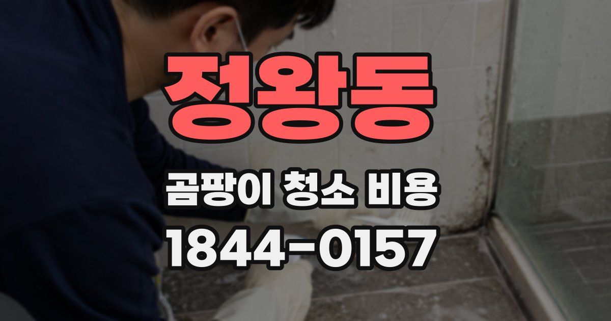 정왕동 곰팡이 청소 비용