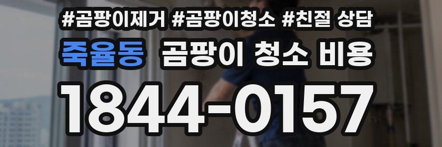 죽율동 곰팡이 청소 비용