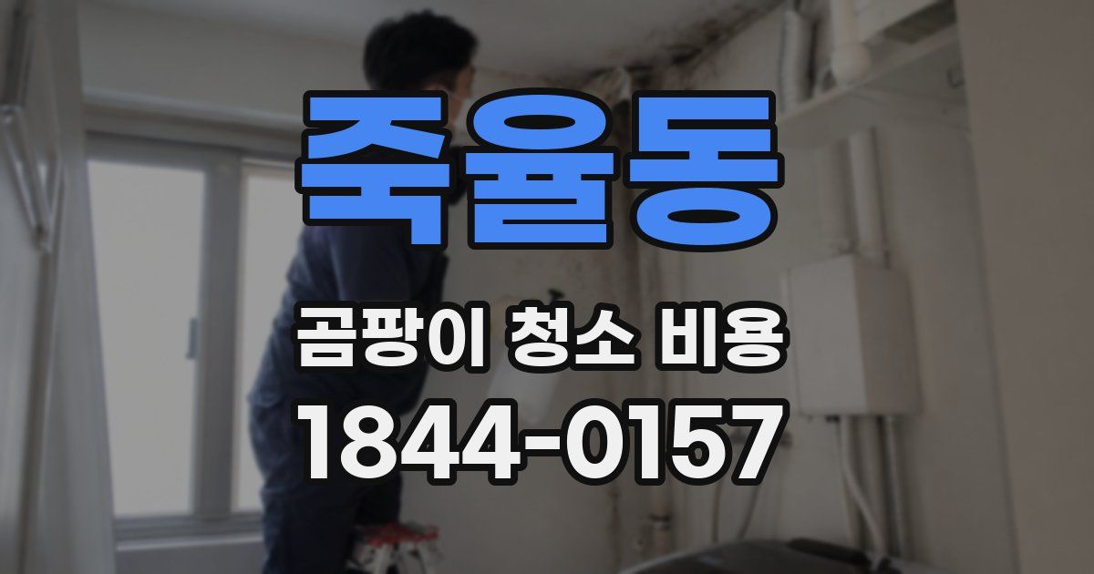 죽율동 곰팡이 청소 비용