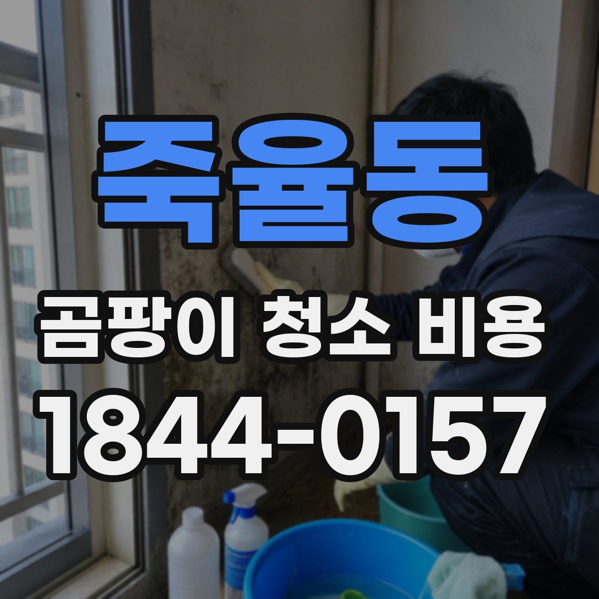 죽율동 곰팡이 청소 비용