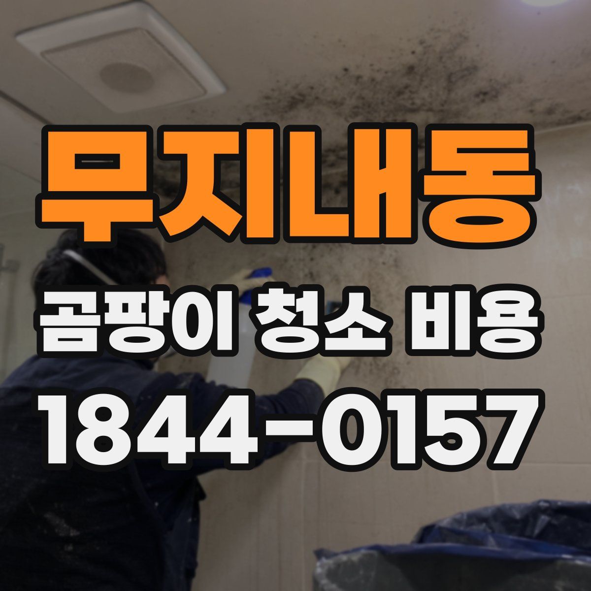 무지내동 곰팡이 청소 비용